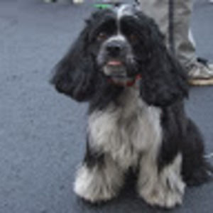 Meet your Posher, Barb